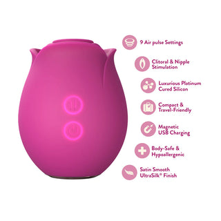 Blush Collection The Original Blush Rose