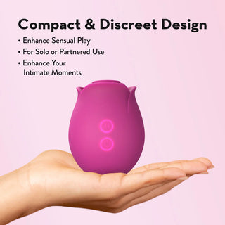 Blush Collection The Original Blush Rose