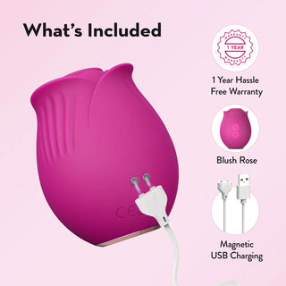 Blush Collection The Original Blush Rose